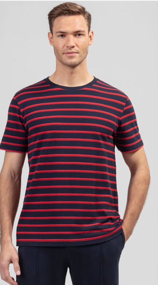 TS PIQUE STRIPPED - RON DORFF