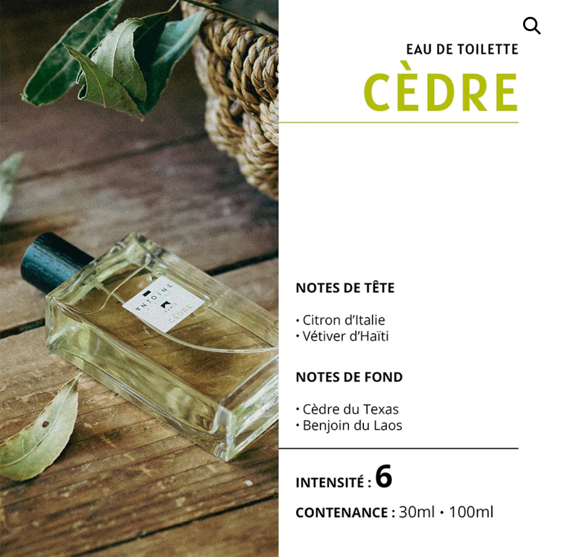 EAU DE TOILETTE ANTOINE PARFUM - ANTOINE PARFUM