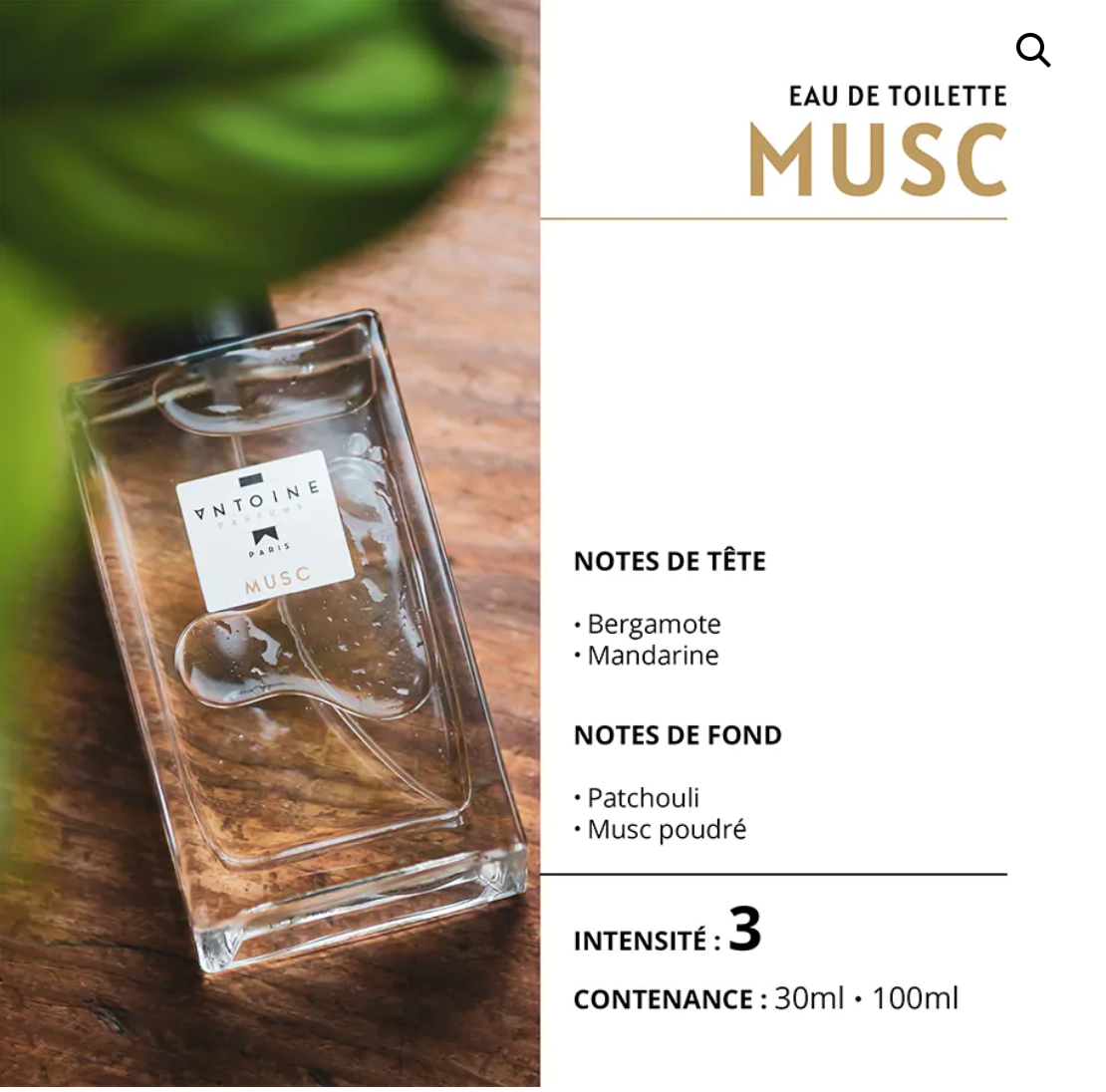 EAU DE TOILETTE ANTOINE PARFUM - ANTOINE PARFUM
