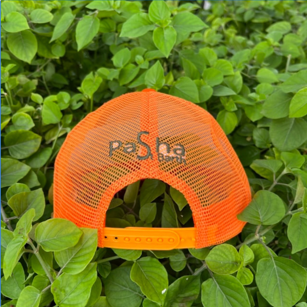 CAP TRUCKER IGOR KHAKI GREEN / ORANGE