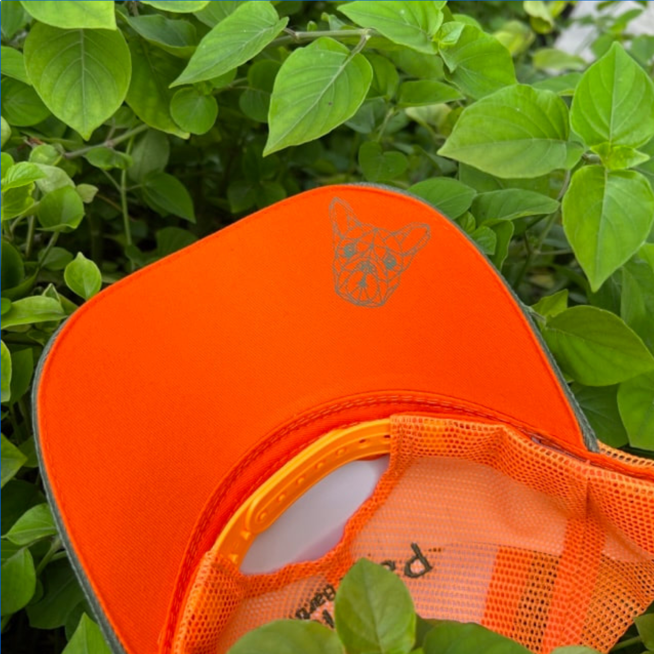 CAP TRUCKER IGOR KHAKI GREEN / ORANGE