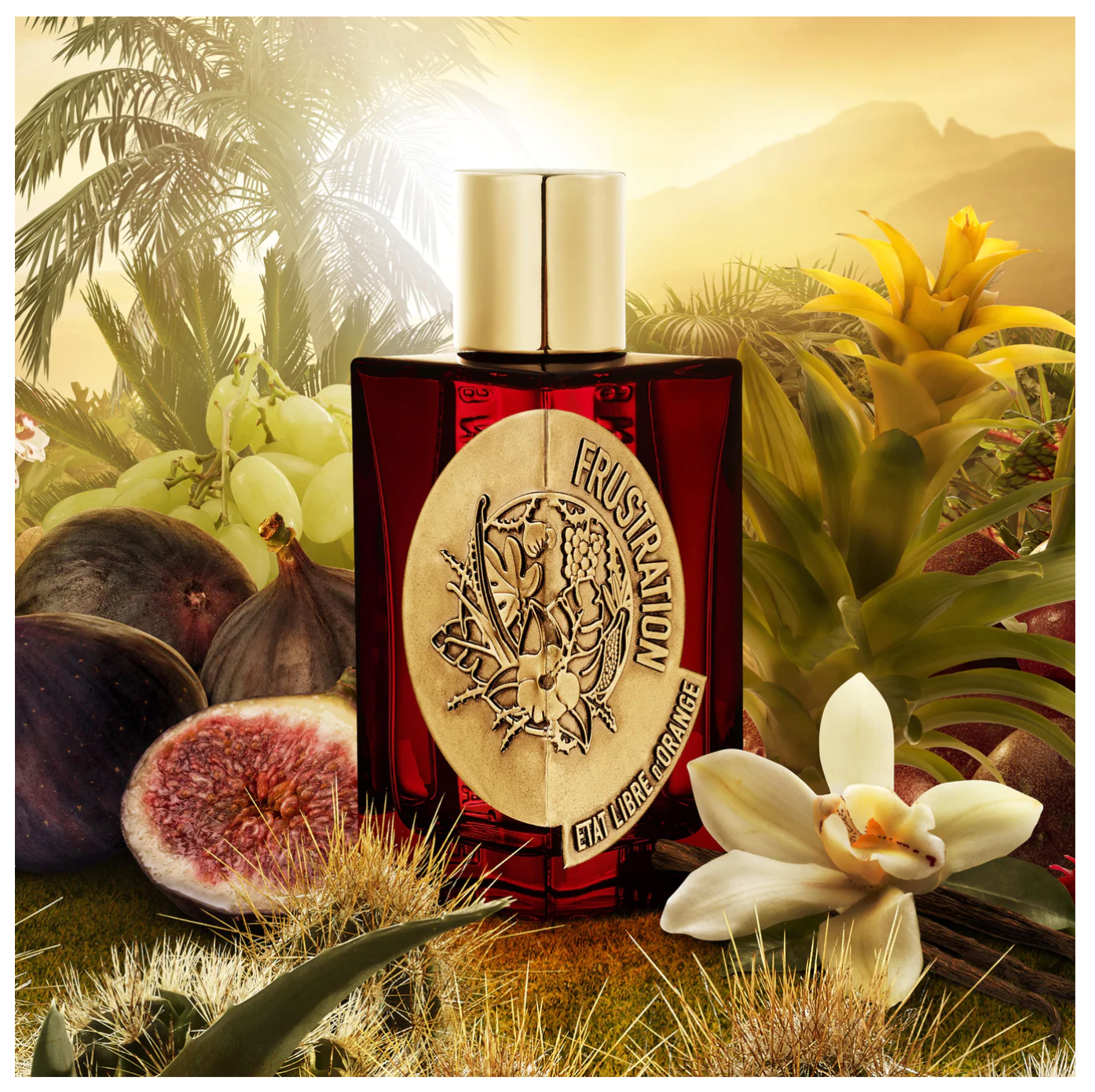 OE FRUSTRACIÓN 100ML (Eau de Parfum) - ESTADO LIBRE DE NARANJA (Paris)