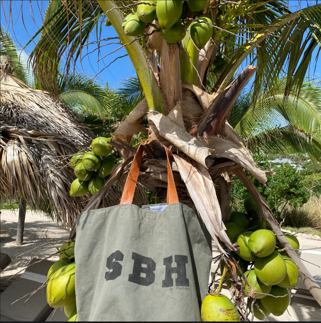 SAC SBH CANVAS TOILE ET CUIR