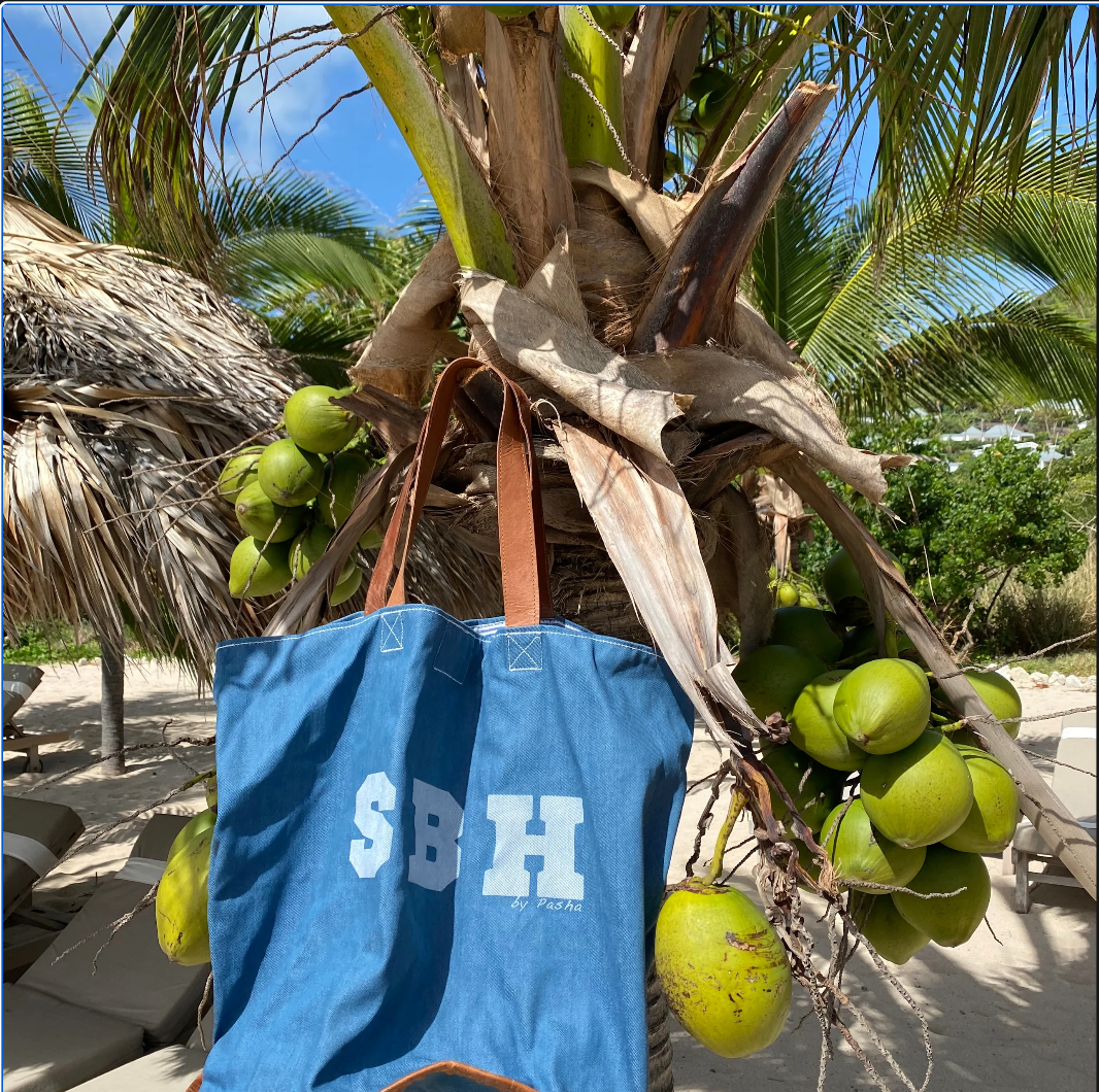 SAC SBH CANVAS TOILE ET CUIR