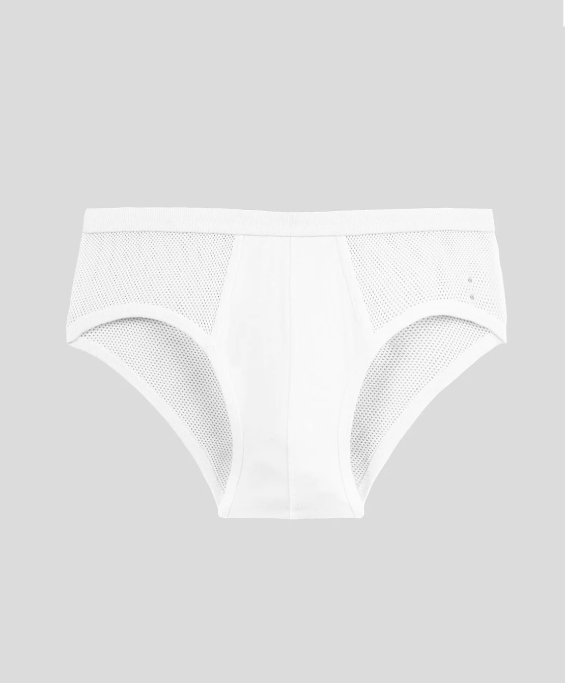 SLIP Y FRONT MESH BRIEF - RON DORFF