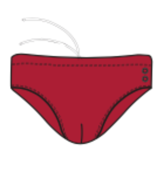 SWIM TRUNK / BRIEF SOLID COLOR RON DORFF + 17 COULEURS - RON DORFF