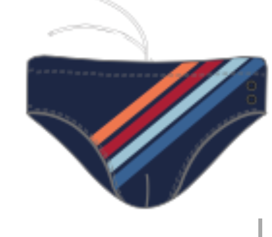 SWIM TRUNK / BRIEF STRIPES RON DORFF + 15 COLORS! - RON DORFF