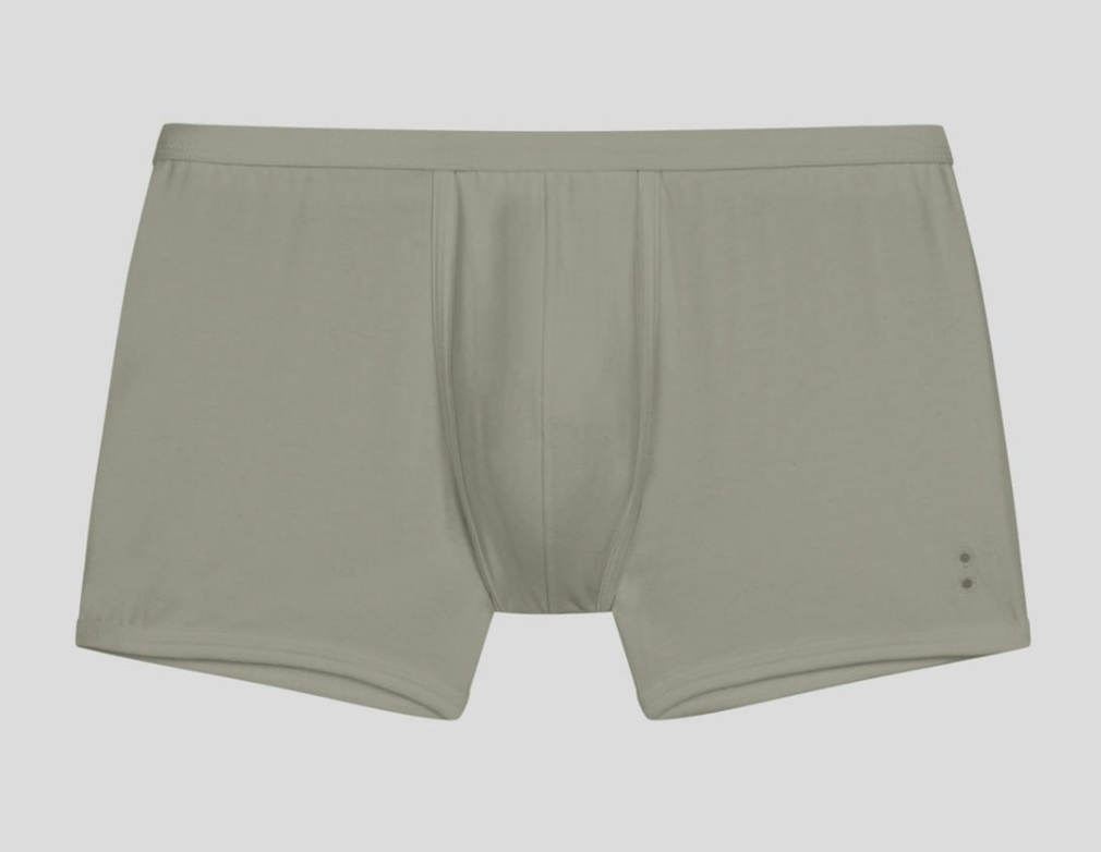 BOXER BRIEF SOLID COLOR - RON DORFF