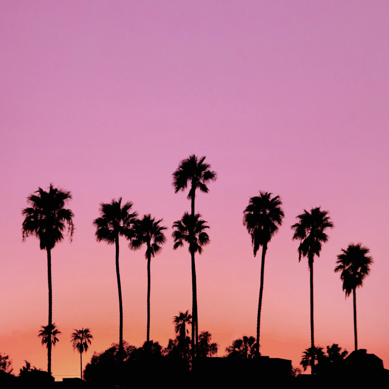 You or Someone like you 100ML (Eau de Parfum) - ETAT LIBRE D'ORANGE (Paris)