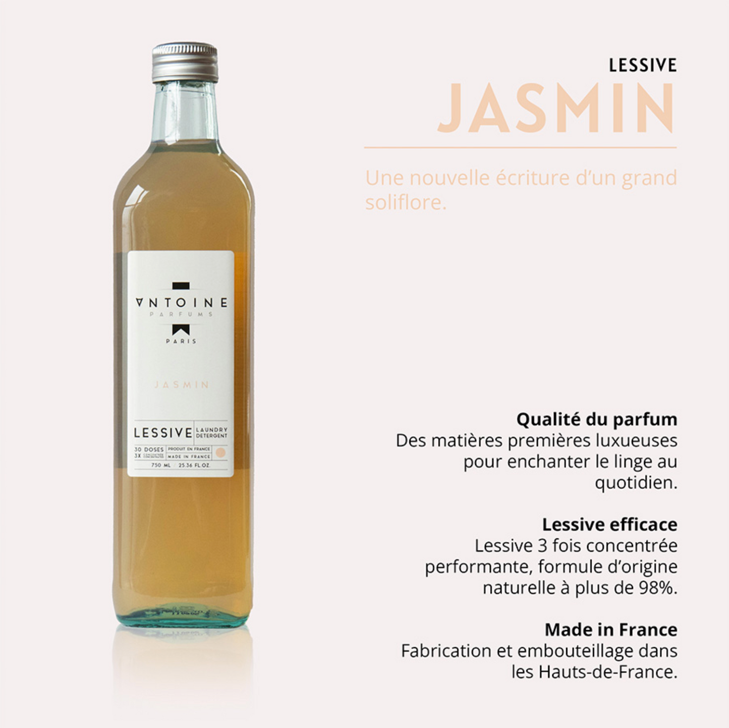 JASMIN LAUNDRY - ANTOINE PARFUMS