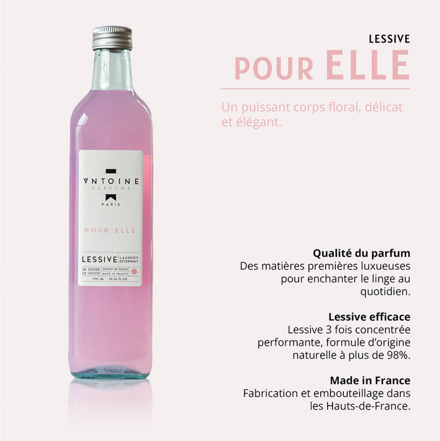 LAVANDERÍA PARA ELLA - ANTOINE PARFUMS