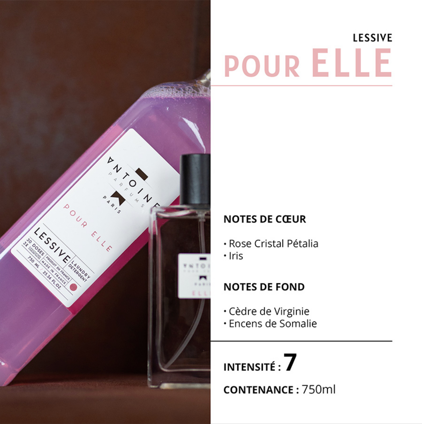 LAVANDERÍA PARA ELLA - ANTOINE PARFUMS