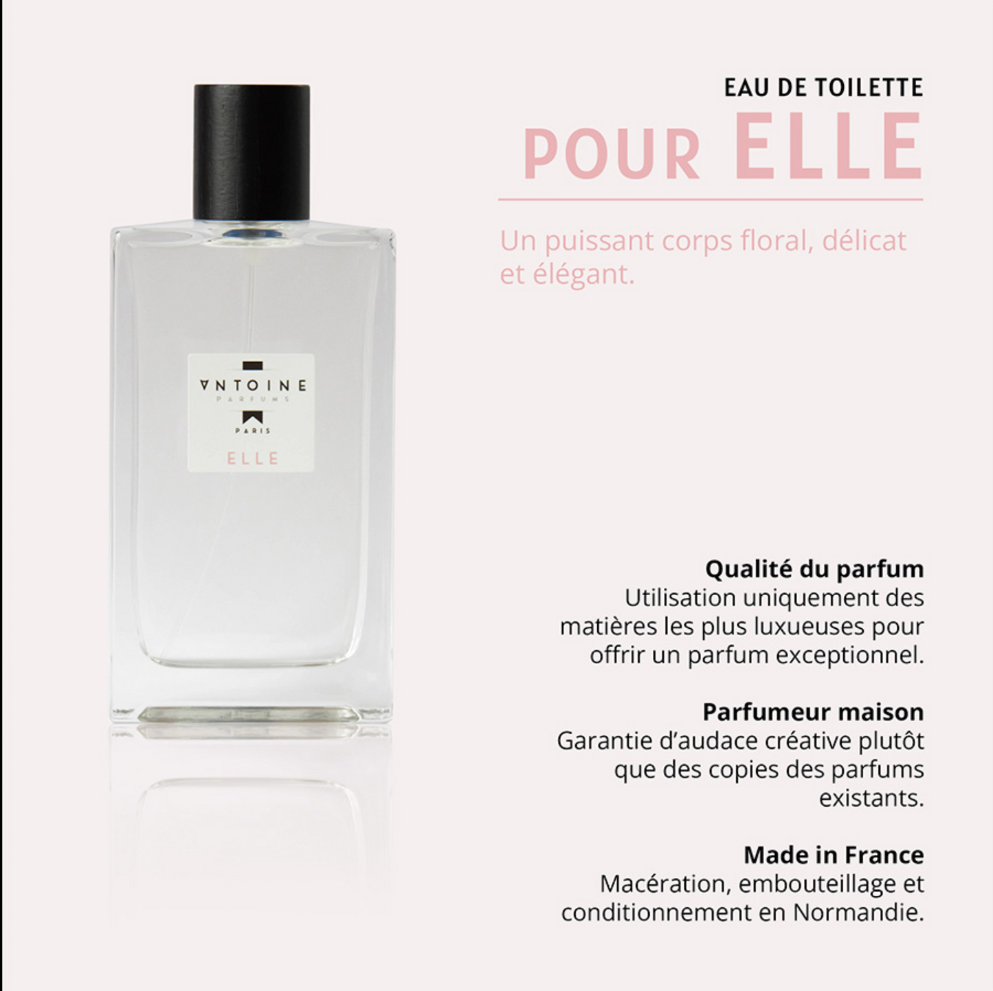 EAU DE TOILETTE ANTOINE PARFUM - ANTOINE PARFUM