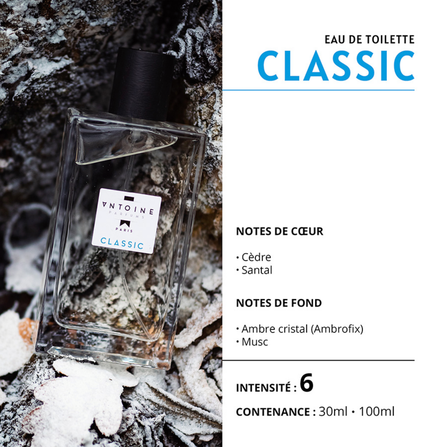 EAU DE TOILETTE ANTOINE PARFUM - ANTOINE PARFUM