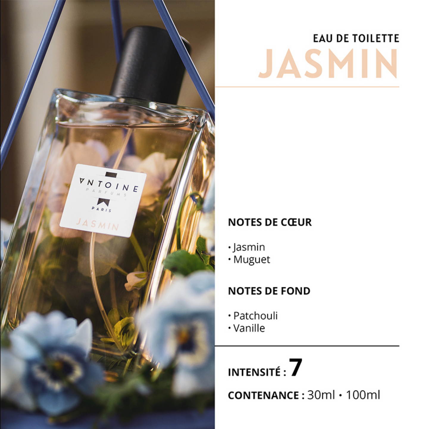 EAU DE TOILETTE ANTOINE PARFUM - ANTOINE PARFUM