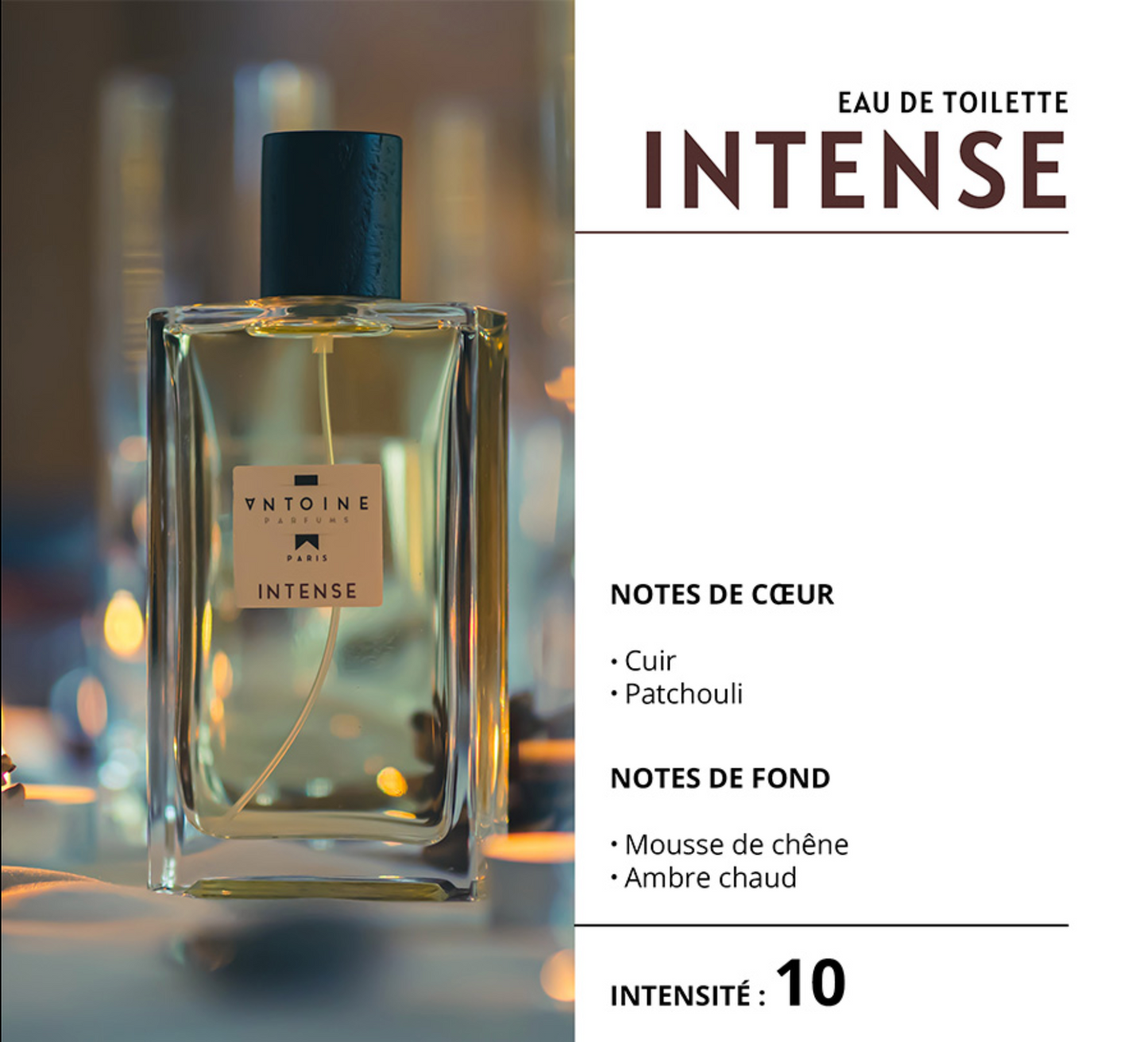 EAU DE TOILETTE ANTOINE PARFUM - ANTOINE PARFUM
