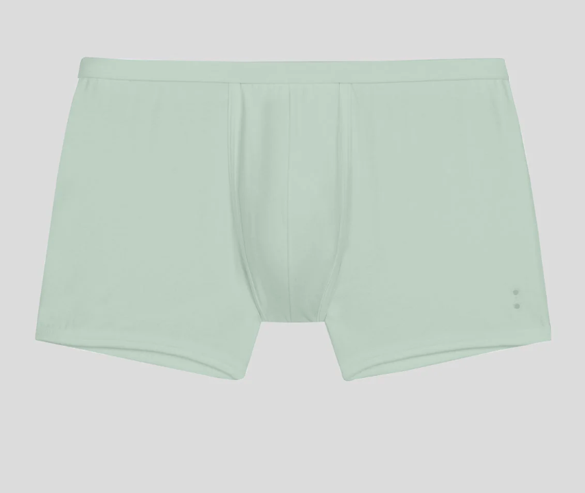 BOXER BRIEF SOLID COLOR - RON DORFF
