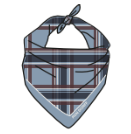 BANDANA / CHECKS - RON DORFF