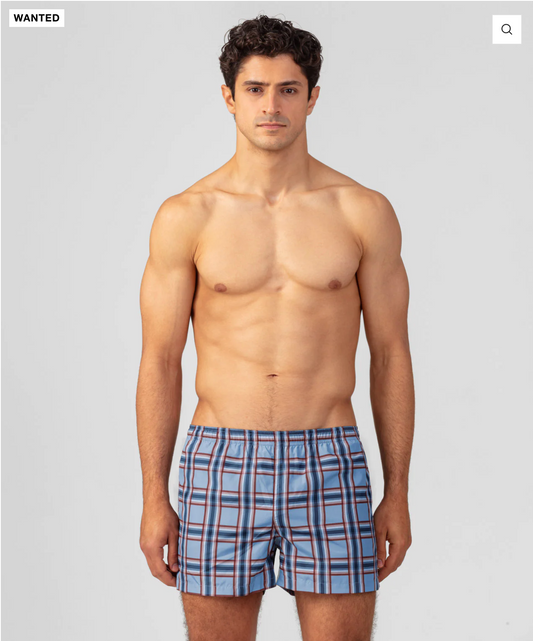 SWIM SHORT WITH CHECKS NAVY OR FADE BLUE - RON DORFF