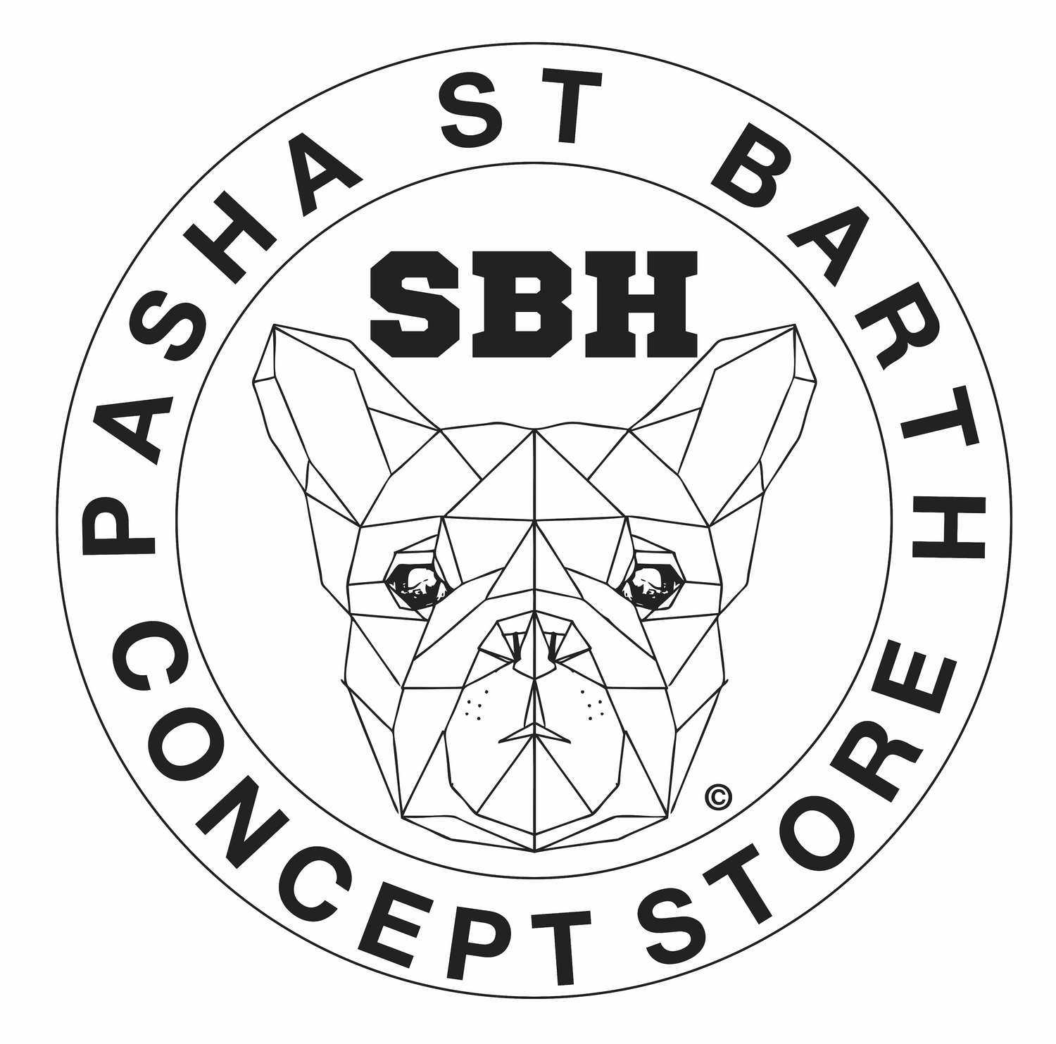 CASQUETTE SBH / PROMO