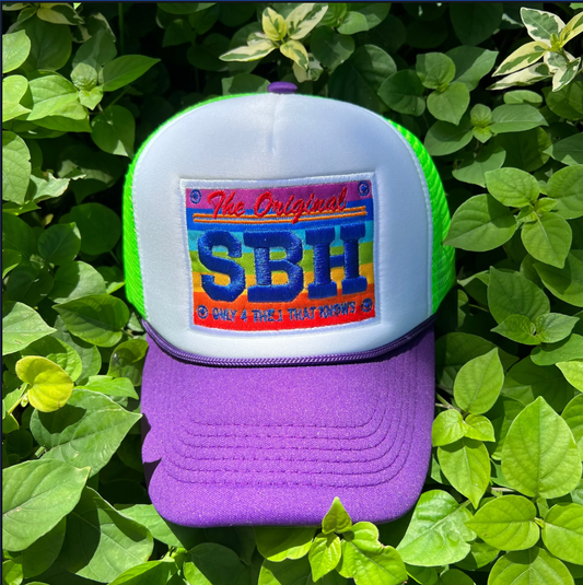 CAP TRUCKER FOAM SBH PRIDE / PURPLE DL