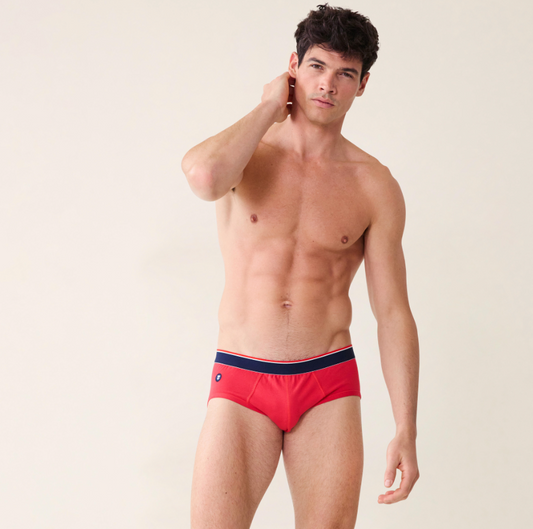 RED BRIEFS THE FRENCH BRIEFS 