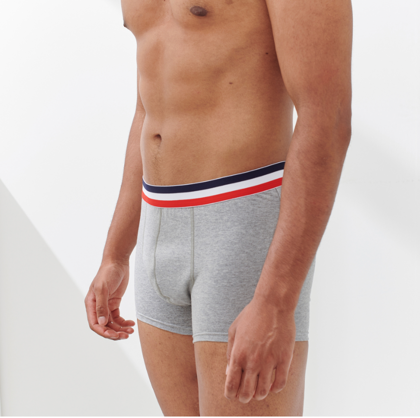 LIGHT GRAY BOXERS THE FRENCH BRIEFS 