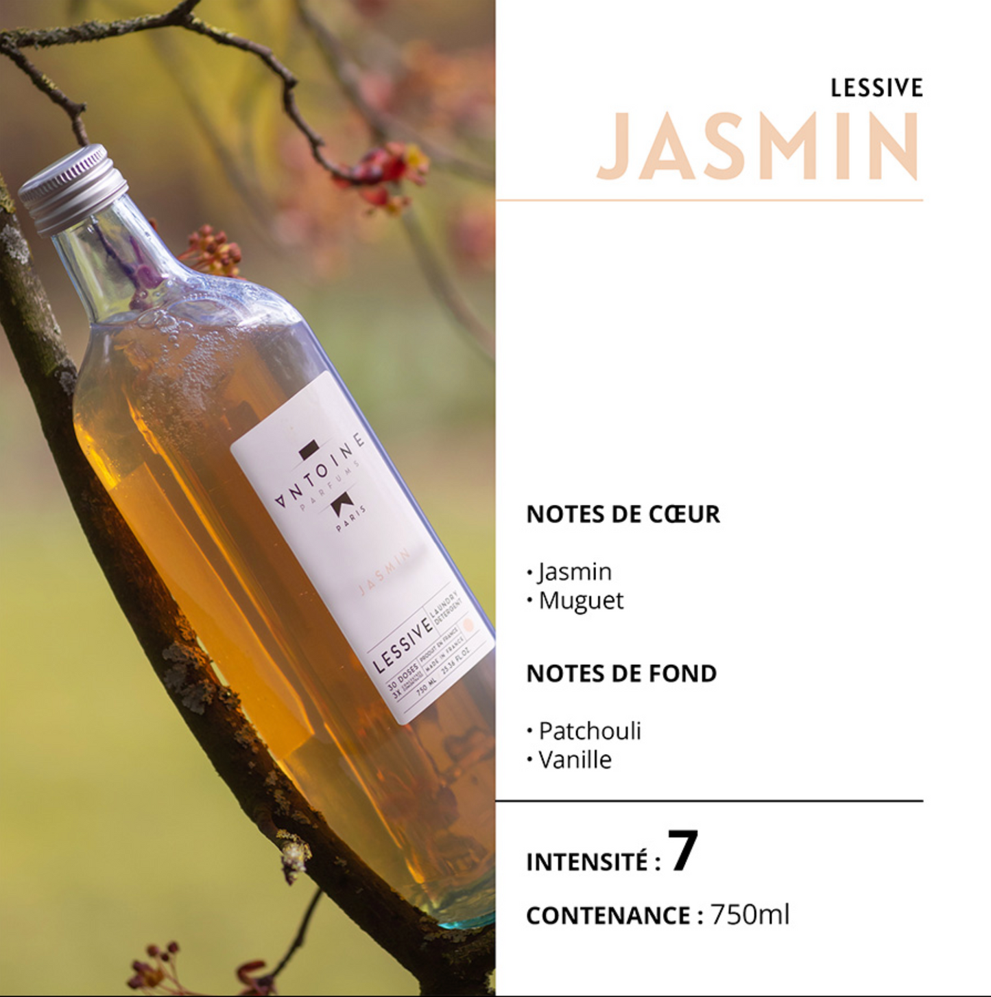 LESSIVE JASMIN - ANTOINE PARFUMS