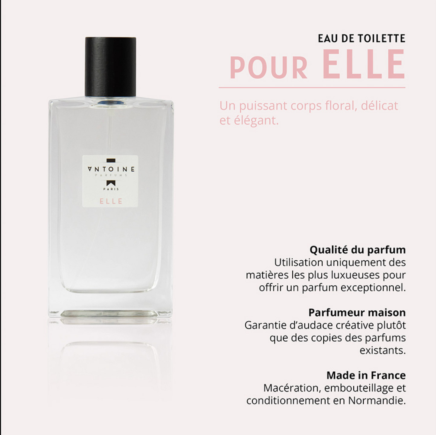 EAU DE TOILETTE ANTOINE PARFUM 30ML  - ANTOINE PARFUM