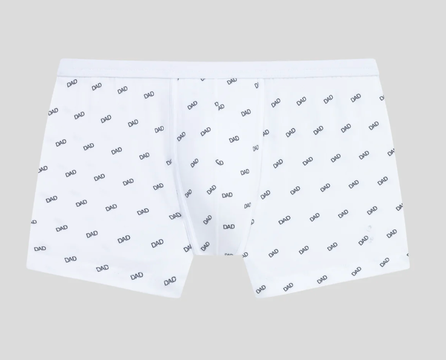 BOXER BRIEF PRINTED - RON DORFF