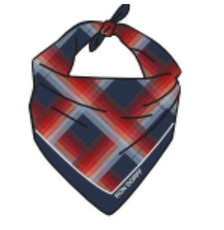BANDANA / CHECKS - RON DORFF