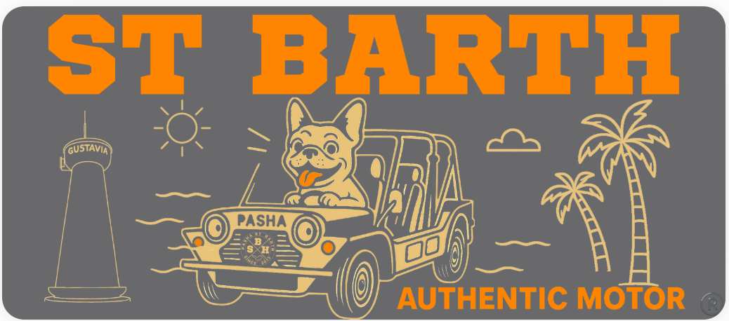 PARCHE para CAP PATCH EDITION X PASHA ST BARTH