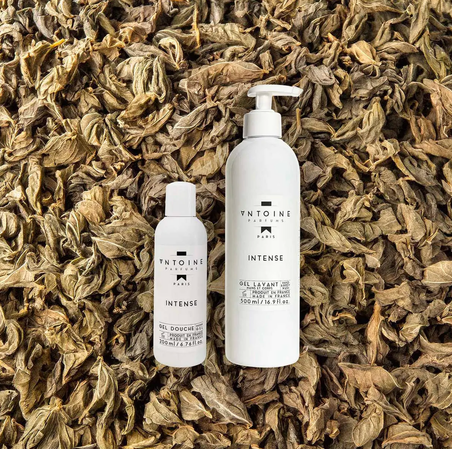 INTENSE HAND &amp; BODY WASH GELS - ANTOINE PARFUMS 