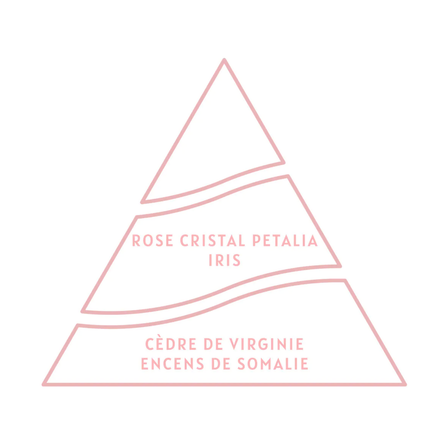 Hand &amp; Body Wash Gels for Her - Antoine Parfums 