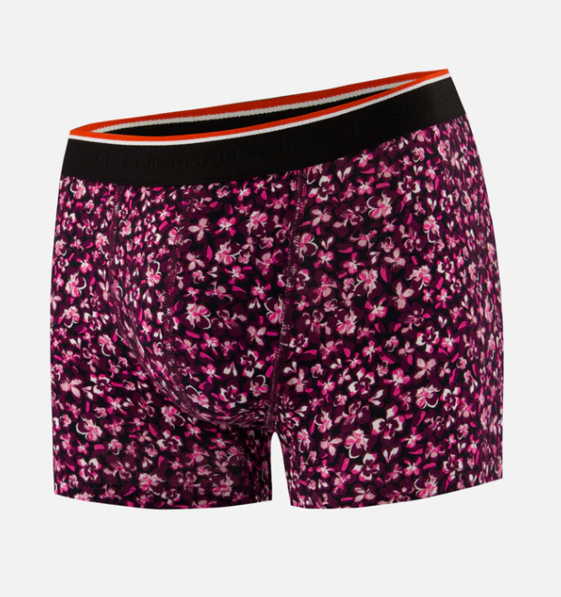 BOXER MARIUS "IBISCUS" - THE FRENCH BRIEFS