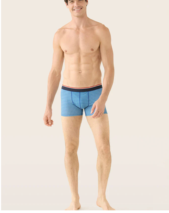 BOXER MARIUS "ARLEQUIN" - THE FRENCH BRIEFS
