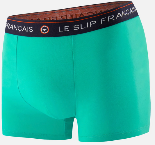 BOXER THE FORMIDABLE MINT - THE FRENCH BRIEFS