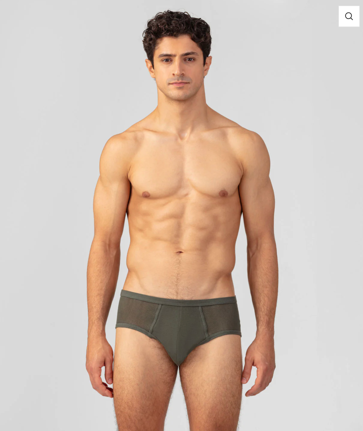 SLIP Y FRONT MESH BRIEF - RON DORFF